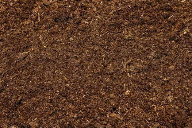 Foto: user17804885 – Freepik – Premium License